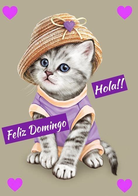 feliz domingo gatitos